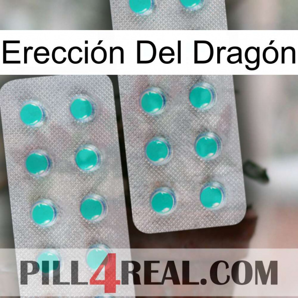 Erección Del Dragón 29.jpg